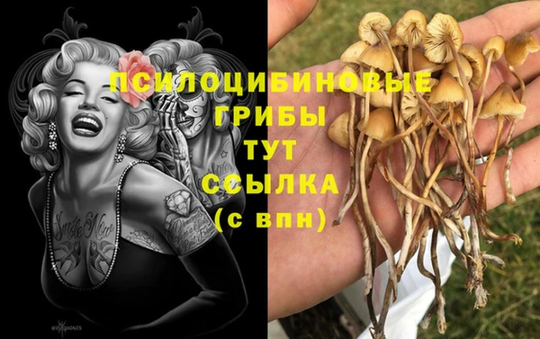 прущие крисы Ельня