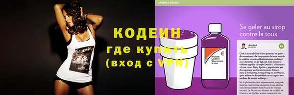 дживик Надым