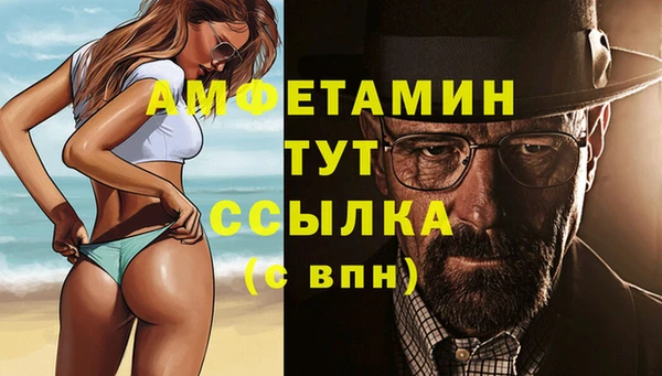 дживик Надым