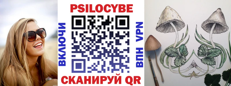 shop формула  купить  сайты  Зеленогорск  Псилоцибиновые грибы мицелий 