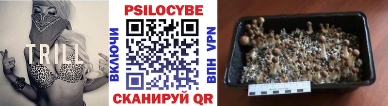 Псилоцибиновые грибы GOLDEN TEACHER Зеленогорск