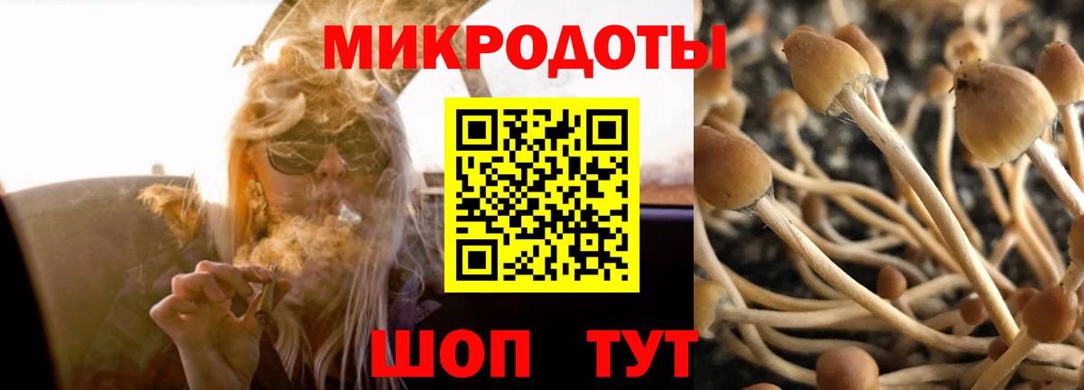 Зеленогорск  Галлюциногенные грибы мицелий  Вход с VPN 